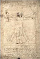 tarot numerologie l'homme de vitruve leonard de vinci