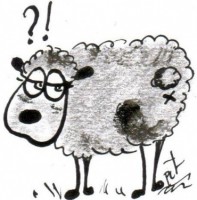 theorie-du-mouton